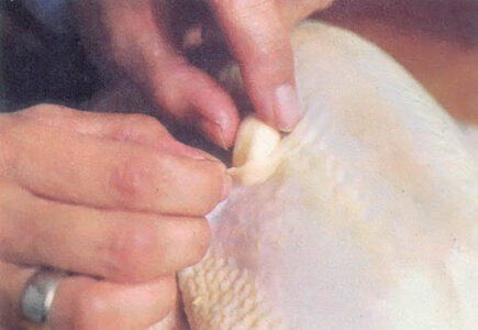 For Thanksgiving Weekend: Garlic Roasted Chicken Image